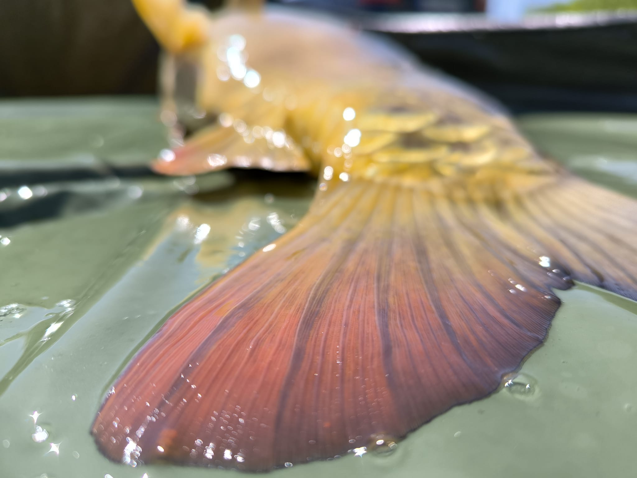 WhatsApp Image 2026 02 19 at 20.33.33